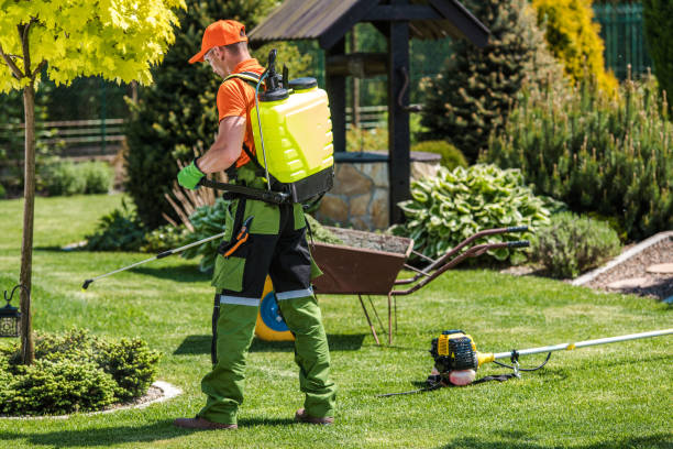 Best Lawn Pest Control  in Al Creek, CO